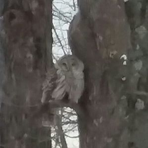 Meet your Posher, Bonny